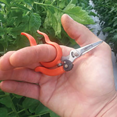 Useful tools for the hoophouse